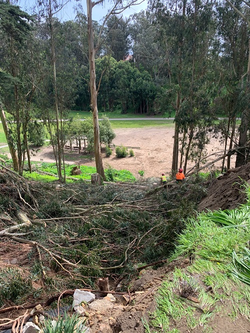 Fotografía que muestra equipos cortando árboles caídos.