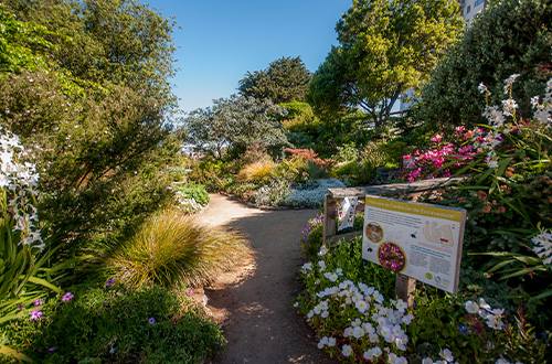 El Jardín para el Medio Ambiente está abierto los 365 días del año y las 24 horas del día para todos. Crédito de la foto al Jardín para el Medio Ambiente.