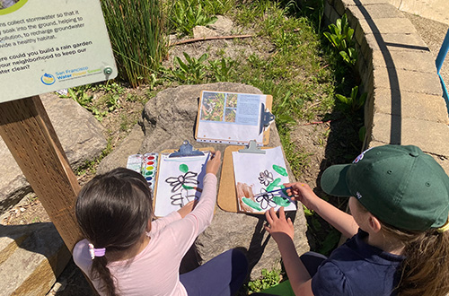 يرسم الطلاب نباتات بالألوان المائية الموجودة في CHLG أثناء استكشافهم والتعرف على كيفية مساعدة النباتات في الحفاظ على صحة كوكبنا ومستجمعات المياه ومدينتنا.