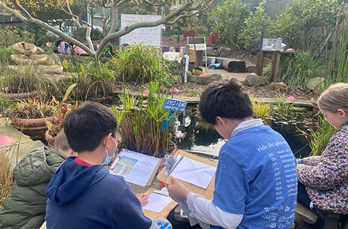 Students doing an interactive activity near the garden pond.