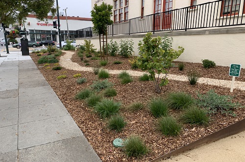 Lycee Francais Green Infrastructure Grant