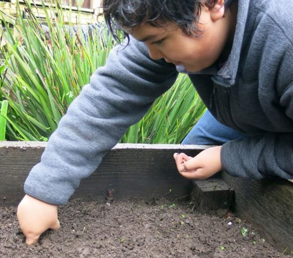 Student planting