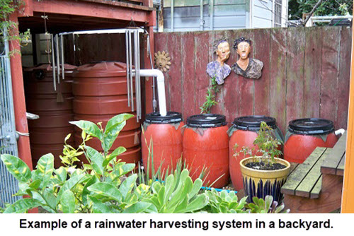用於收集雨水的雨水桶