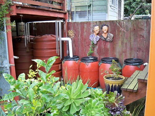 Система сбора дождевой воды на заднем дворе