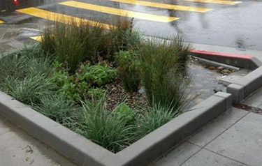 塞薩爾·查韋斯（Cesar Chavez）街景改善沿線的雨花園