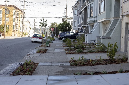 Planta * Proyecto SF 5th Avenue: Después de la siembra