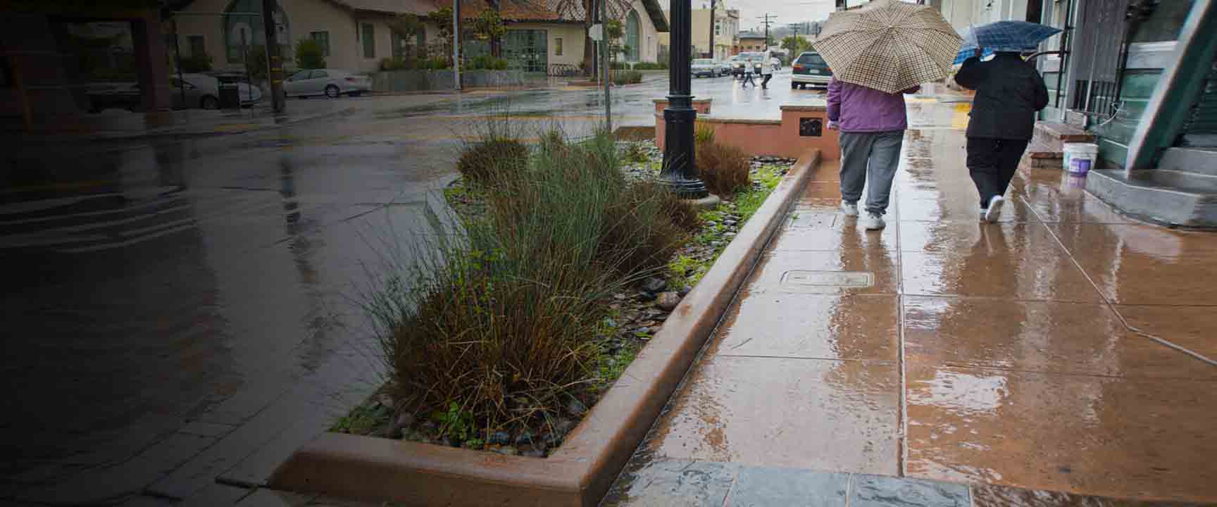 People walking in the rain next to a  side walk garden that works as a green infrastructure to help manage rainwater runoff.