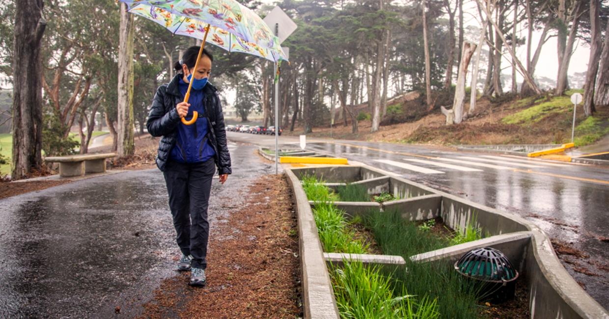 女人拿著雨傘走在雨水花園旁
