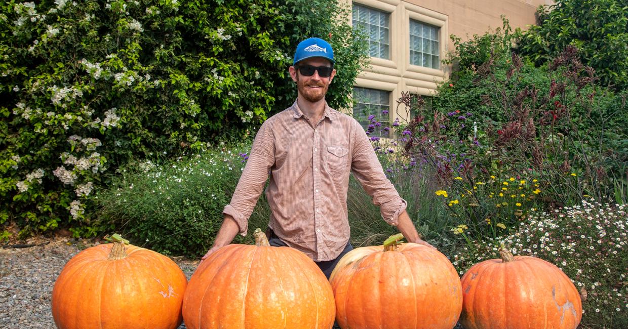 How to Grow Giant Pumpkins with the Help of Biosolids