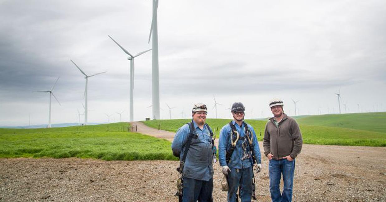 trabajadores en un campo de turbinas eólicas