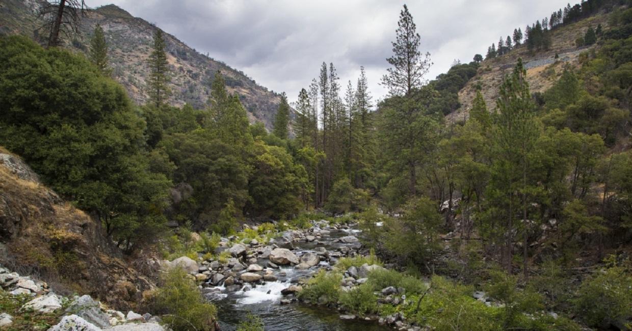 section of the Tuolumne River