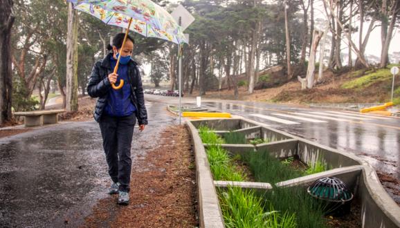 Person with umbrella walking next to rain garden.